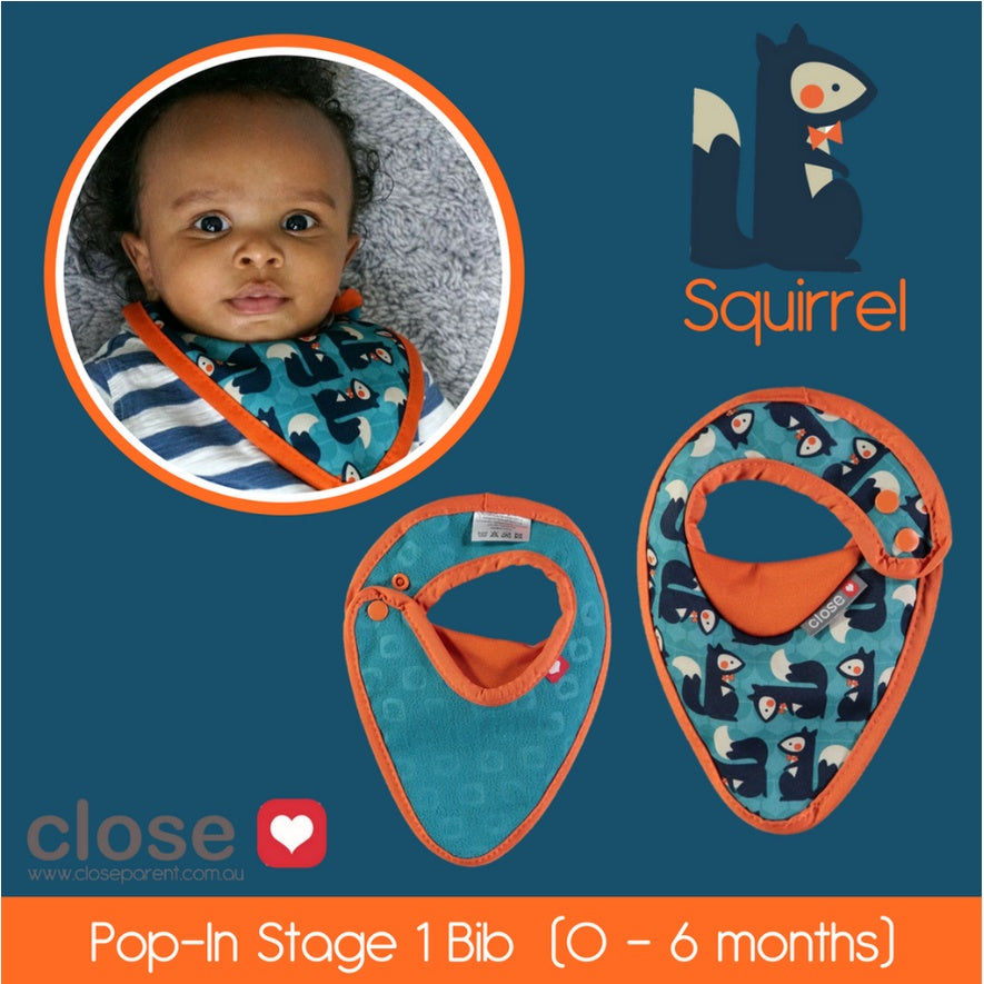 Close Parent Bib Stage 1 Infant Newborn Nursing Feeding Burp Cloth Napkin Animal Squirrel Blue Green Herman Monster